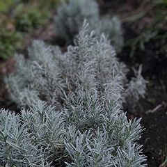 23位のイメージ