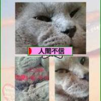 396位のイメージ