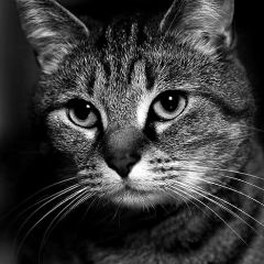 76位のイメージ