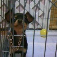 23位のイメージ