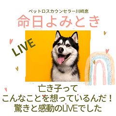 41位のイメージ