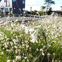 288位のイメージ