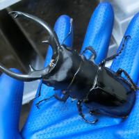 22位のイメージ