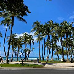 12位のイメージ