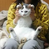 69位のイメージ