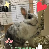 15位のイメージ