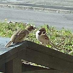 147位のイメージ