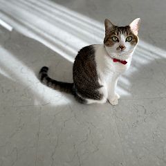 73位のイメージ