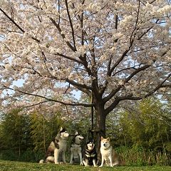 13位のイメージ