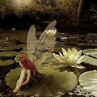 15805位のイメージ