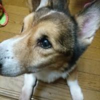 1131位のイメージ