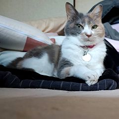 12位のイメージ