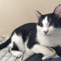 162位のイメージ