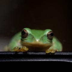 58位のイメージ