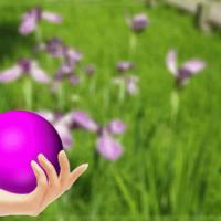 18081位のイメージ