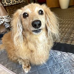 123位のイメージ