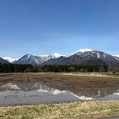 22位のイメージ