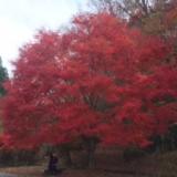 48位のイメージ