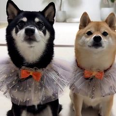 12位のイメージ