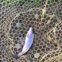 116位のイメージ