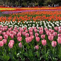 21489位のイメージ