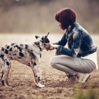 35位のイメージ