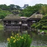 28位のイメージ