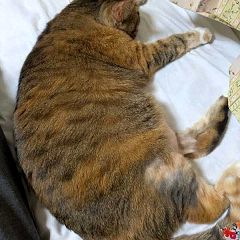 182位のイメージ