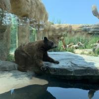 112位のイメージ