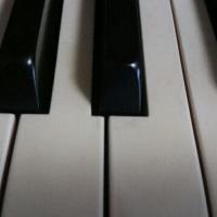 11位のイメージ