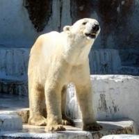 655位のイメージ