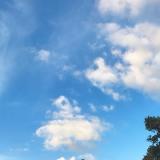 102位のイメージ