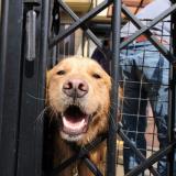 14位のイメージ