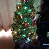 25位のイメージ