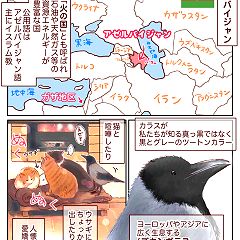 55位のイメージ