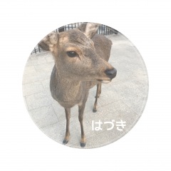 147位のイメージ