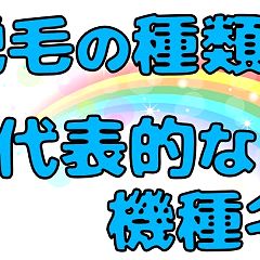 84位のイメージ