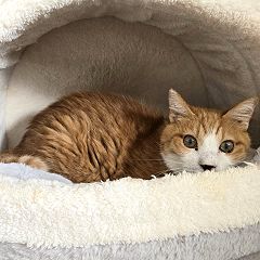 24位のイメージ