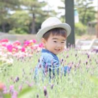 20位のイメージ