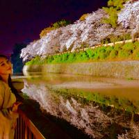 588位のイメージ