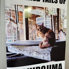 24位のイメージ