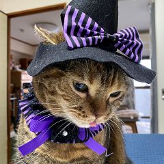 15位のイメージ