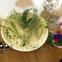 23位のイメージ