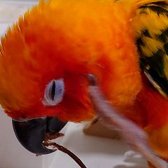 48位のイメージ