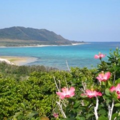 133位のイメージ