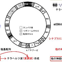 24位のイメージ