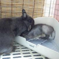 3307位のイメージ