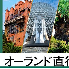 116位のイメージ