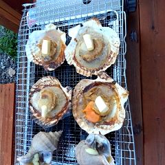 69位のイメージ