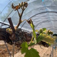 22位のイメージ